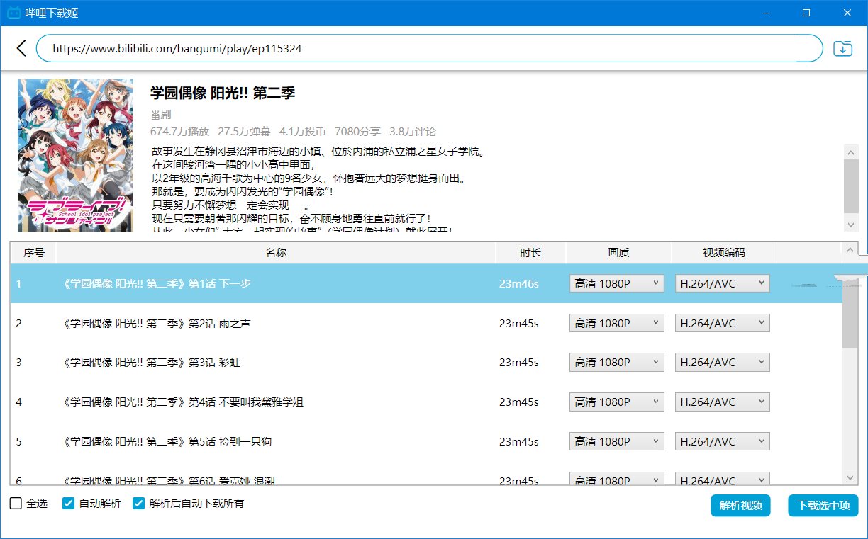 DownKyicore哔哩下载姬跨平台版v1.0.22绿色版